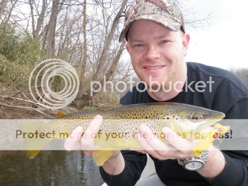 The Streamer Class The Ozark Fly Fisher Journal
